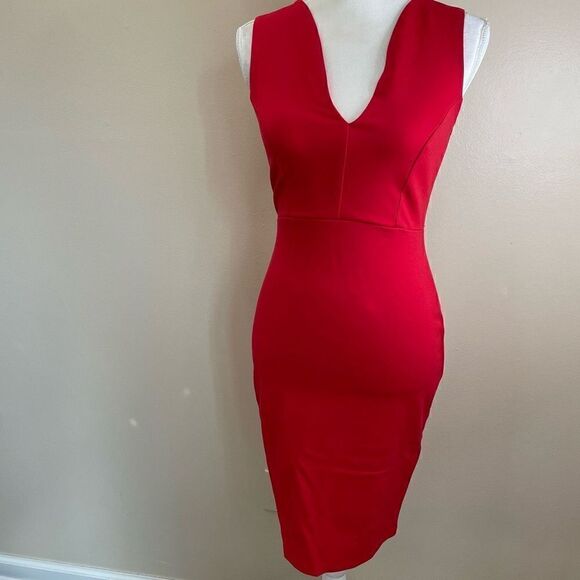 Lulus|Bodycon| Gold Zipper back  - Picture 14 of 14